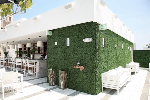 easygrass artificial ivy living wall on wall of hotel and bar