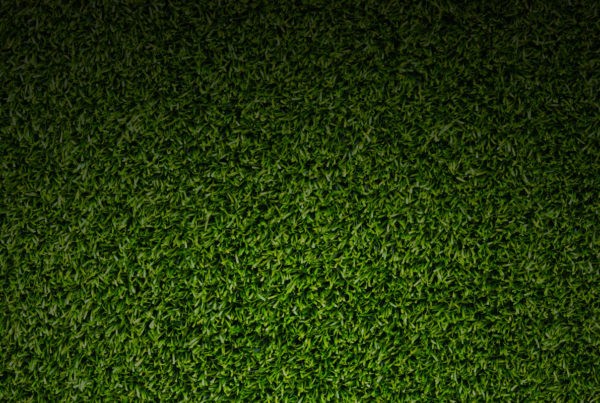 easygrass artificial grass and synthetic grass installers in miami
