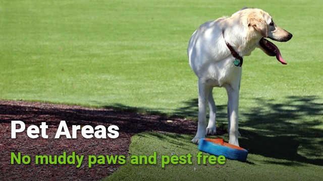 easygrass artificial grass for dog turf and pet turf
