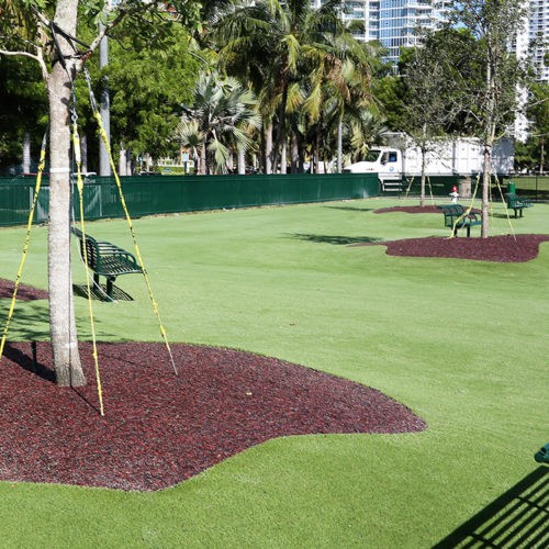 artificial grass and rubber mulch used as pet turf in miami public park
